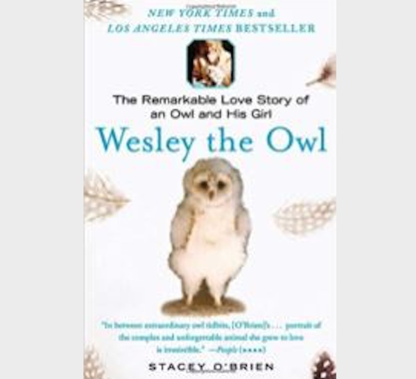 Wesley the Owl by Stacey O’Brien October’s 'Good Read' at the library