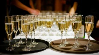 best sparkling wines and champagne in paso robles