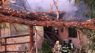 atascadero house fire from tree