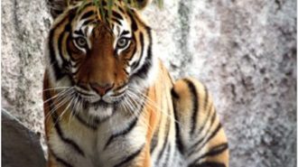 Charles Paddock Zoo re-opens Friday