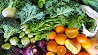 Farms in Paso Robles that offer produce delivery