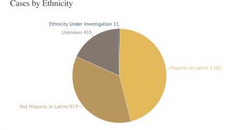 cases by ethnicity