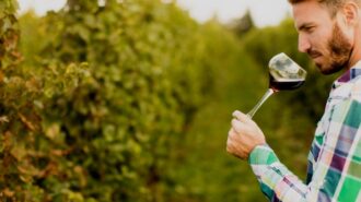 SIP Certified to share survey results, resources for wineries in upcoming webinar
