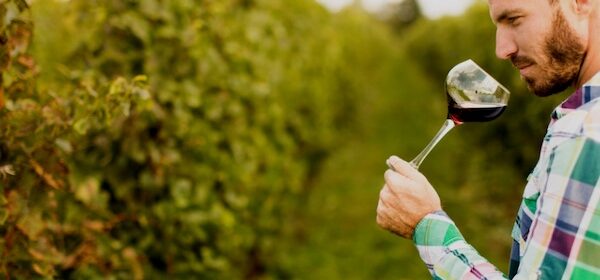 SIP Certified to share survey results, resources for wineries in upcoming webinar
