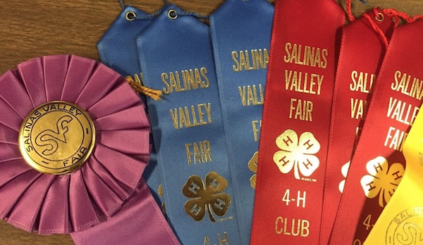 Salinas Valley Fair announces in-person livestock grading show and online auction 