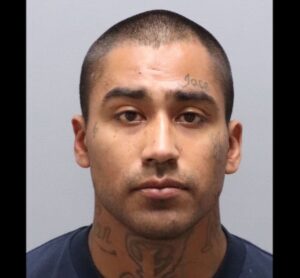 Domestic violence call ends in arrest in Paso Robles
