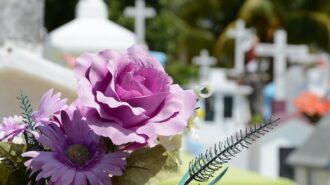 COVID-19 funeral assistance program now accepting applications