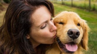 Vineyard Kennels Dog Resort hiring for part-time summer help