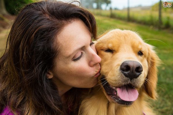 Vineyard Kennels Dog Resort hiring for part-time summer help 