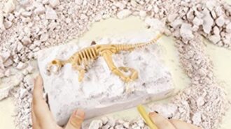 Excavate dinosaur bones during June's 'Try It! Tuesday' with the library