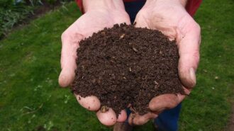 May 29 is 'National Learn About Compost Day'