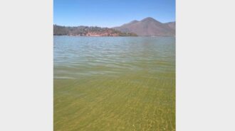 State officials warn recreational water users to watch for dangerous algae