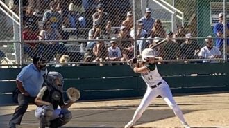 Templeton Softball loses 1-0 in CIF semifinals