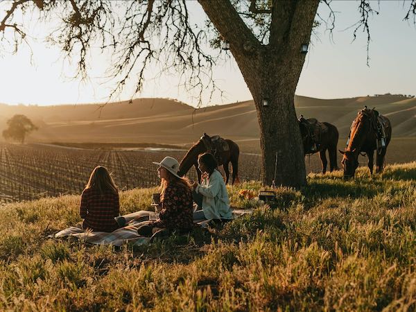 Travel Paso launches campaign to inspire a road trip to wine country this summer
