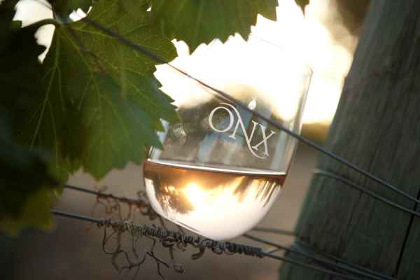 ONX dine in the vines