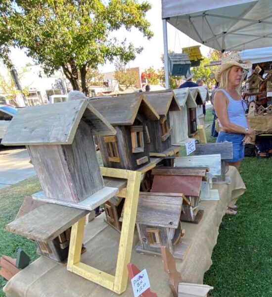 Paso Art birdhouses
