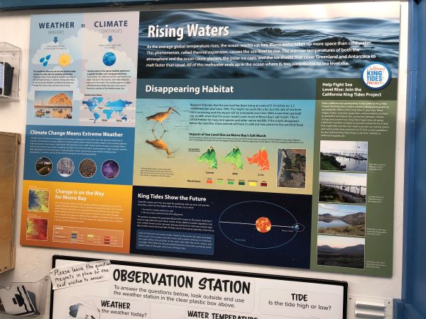 Display of sea level rise at MBNEP Nature Center