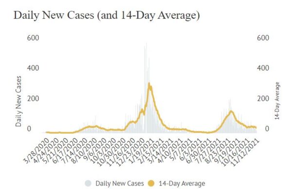daily new cases