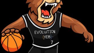jpg youth evolution basketball camp