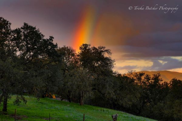 rainbow pic from trisha