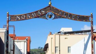 norma's alley 1