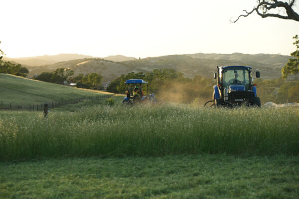 Ant's Tractor Mowing Abatement Paso Robles, CA