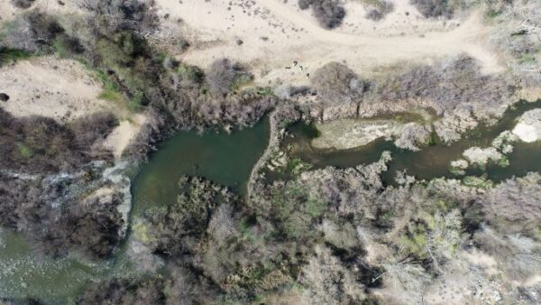 Beaver pond and dam on Salinas River[26903]