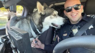 dog and officer