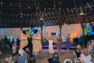 butterfly dancers gala
