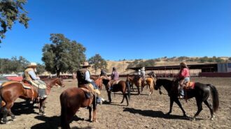 Californios horses and riders in arena