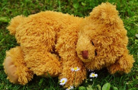Sleeping stuffed bear