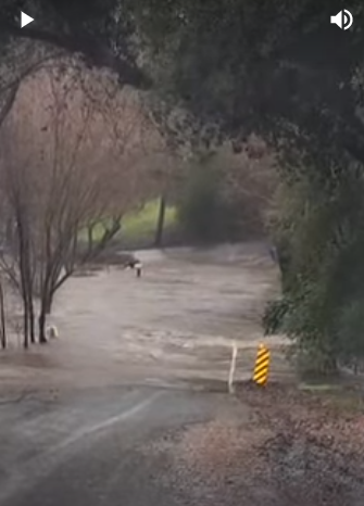 rain floods Salinas Ave at Hawley St