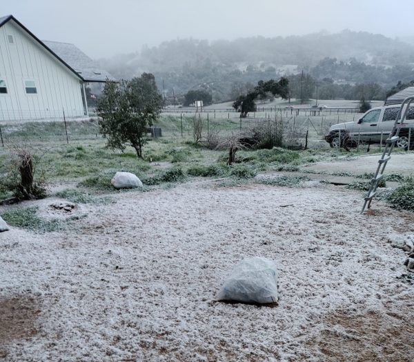 snow in atascadero photo by Mandy Torres