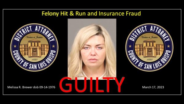 San Miguel woman convicted of felony hit and run causing injury