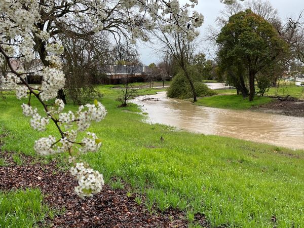 A full Turtle Creek in Paso Robles. Photo by Richard Mason. 