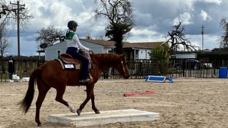 'Back in the Saddle' open horse show to benefit SLO County 4-H Horse Project