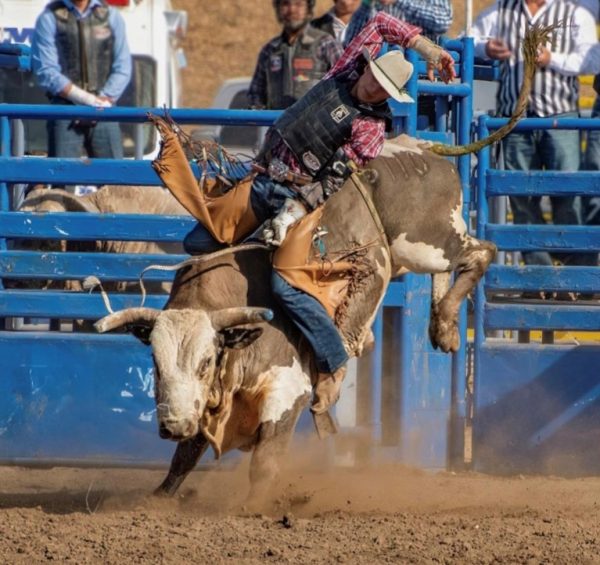 Top cowgirls and cowboys to compete at SLO County Sheriff's Rodeo