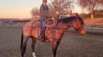 Redwings Horse Sanctuary welcomes new executive director
