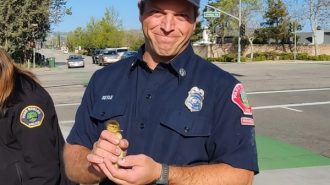 firefighter with duckling