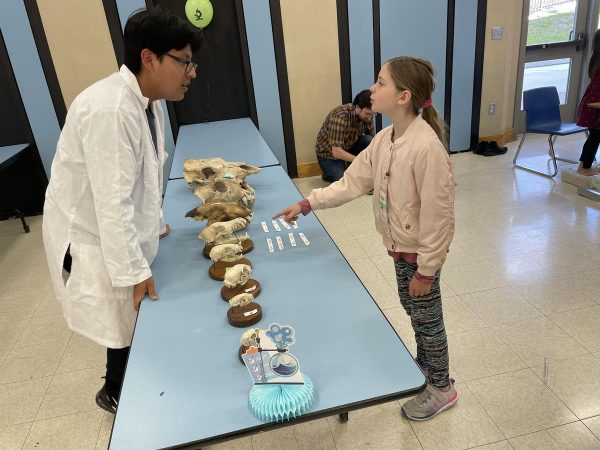 Bearcat science students volunteer at elementary school STEM nights