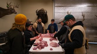 butchery class - Oak Stone Meat Processing