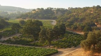 paso robles wine country