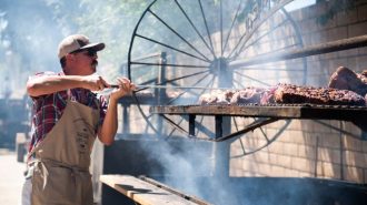 Specialty days return to the Mid-State Fair