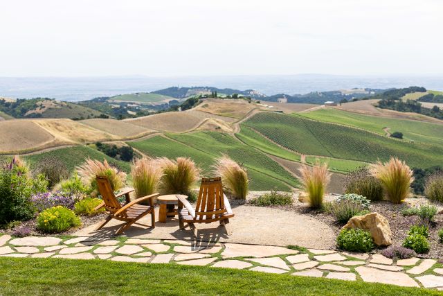 Daou Mountain rises above the Coastal Range, providing views at the highest elevations of any winery in Paso Robles.