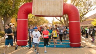 Wine Country Runs annual half marathon returns Oct. 29
