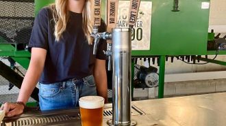 Antigua Brewing awarded five medals at state fair craft beer competition