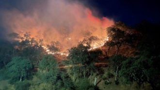 Paso Robles vegetation fire may have been caused by illegal fireworks