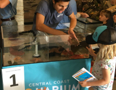 Central Coast Aquarium bringing 'Tidepools on Tour' program to the library