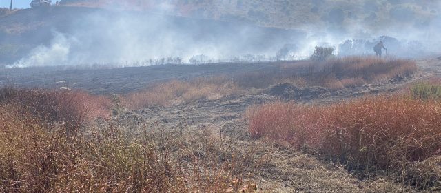 Vegetation fire burns five acres, scorches structure