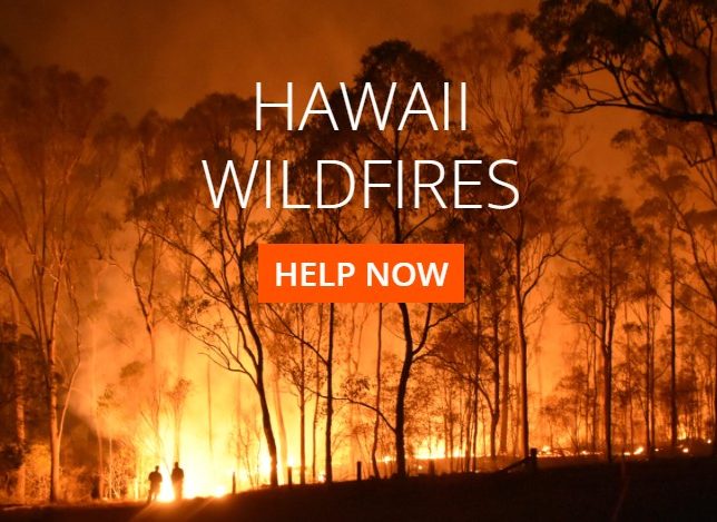 Local moving company hosting donation drive for Maui wildfire survivors